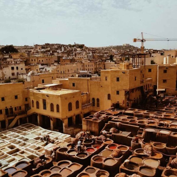 Explore the Adventurous Desert: Fes to Marrakech